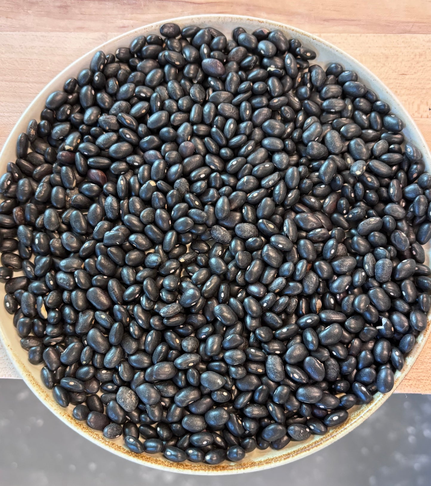 Black Turtle Beans - Farm: Hudson Valley Hops & Grains