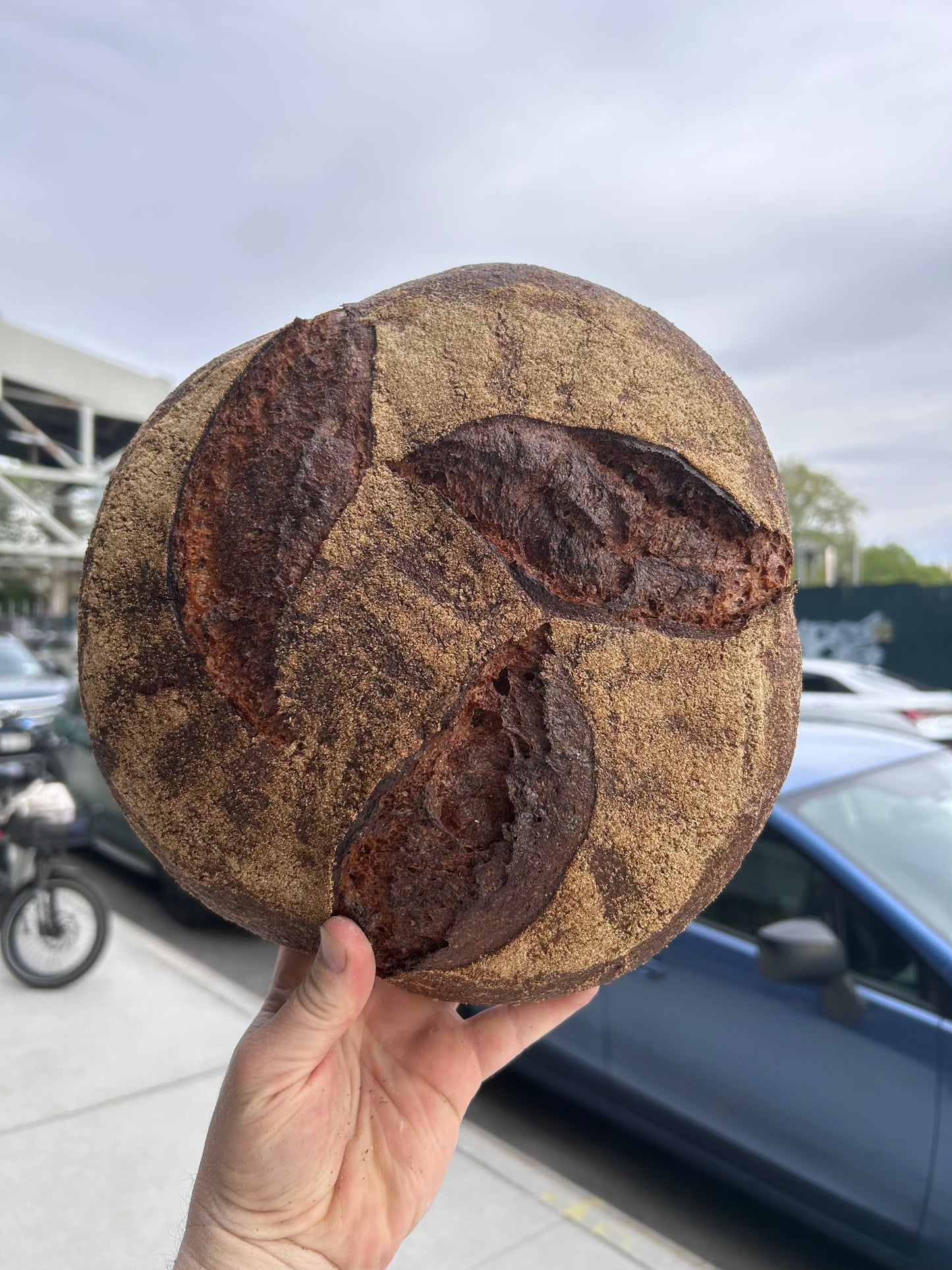 Miche (Wheat, Spelt, Rye) Loaf