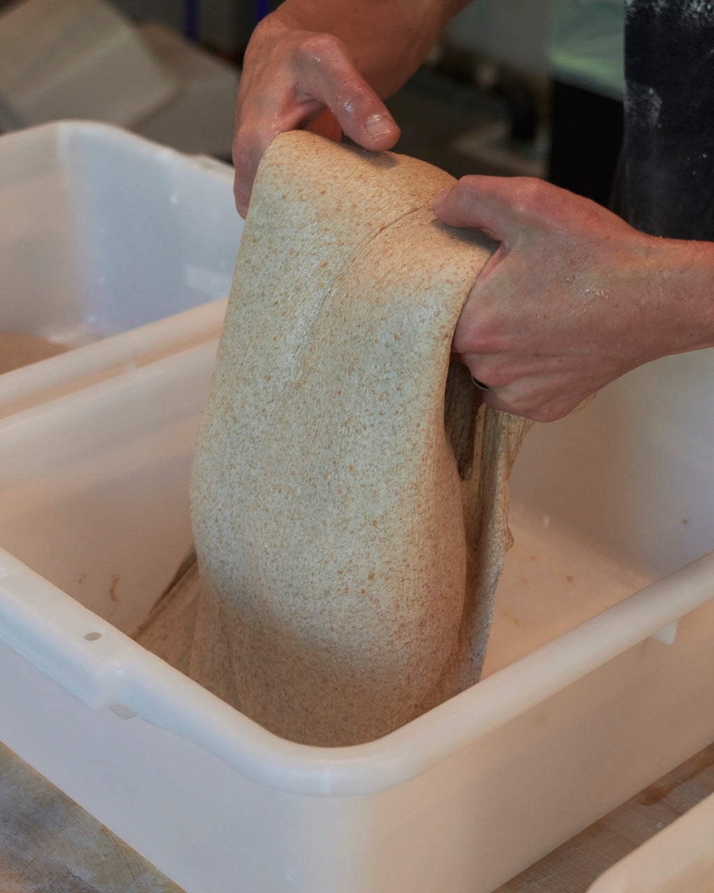 CLASS TICKETS: Sourdough 101 - 02/07, Saturday @ 6 - 8:30pm