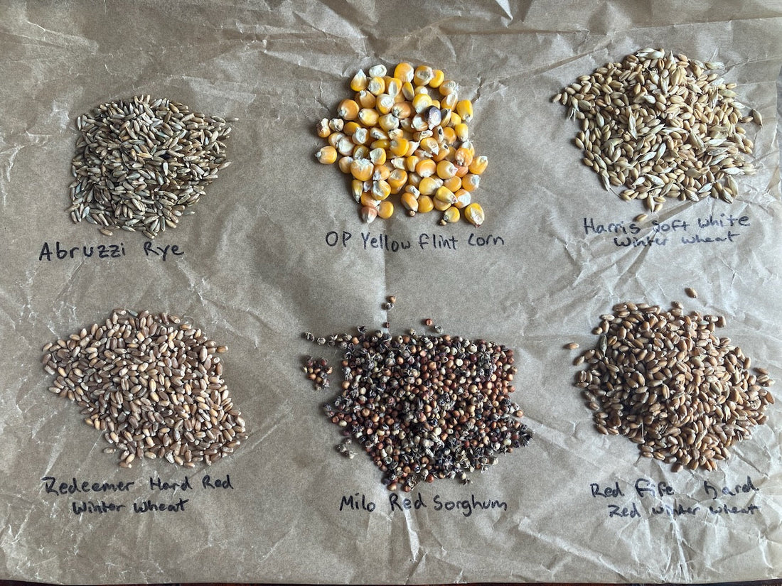 Wheat Classifications