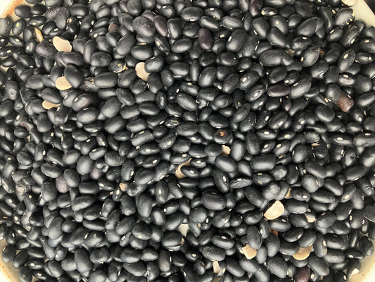 Black Turtle Beans - Farm: Hudson Valley Hops & Grains