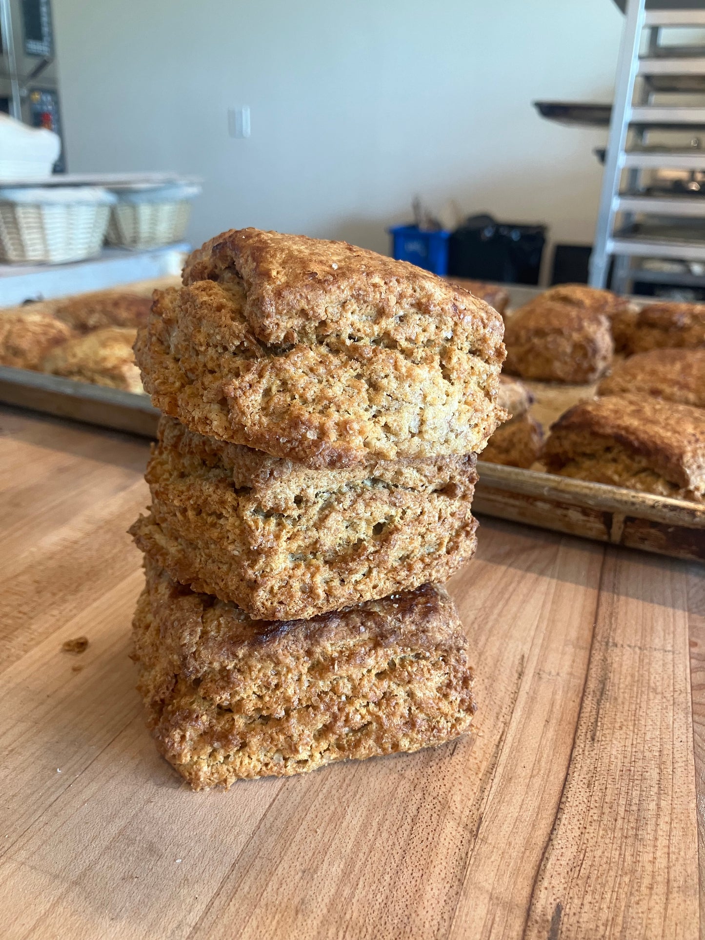 Biscones - 1/2 Dozen