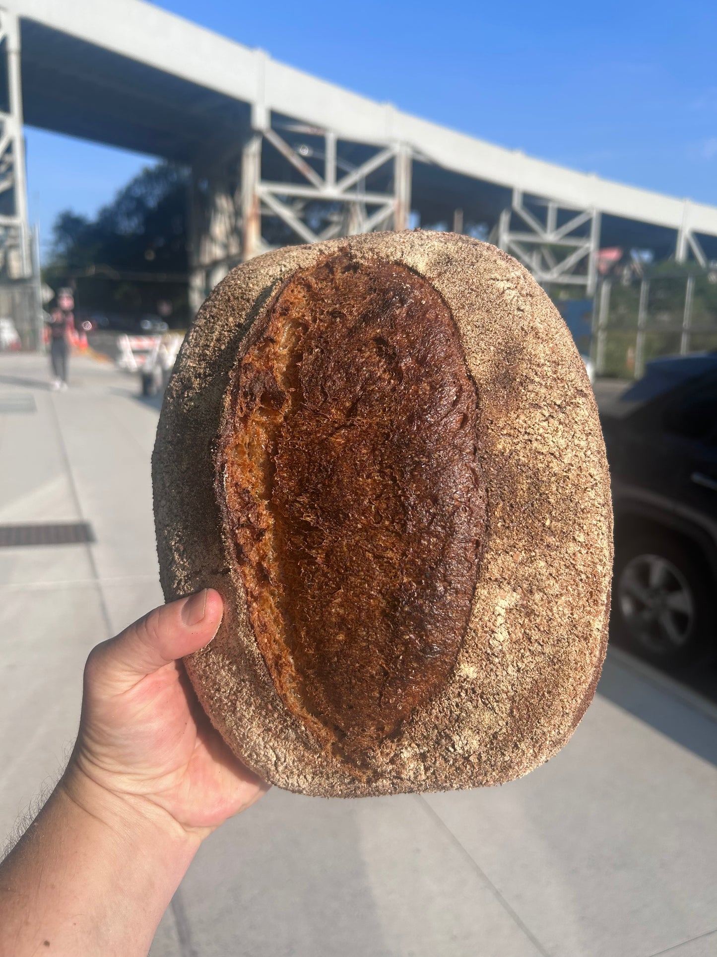 Einkorn & Whole Wheat Loaf