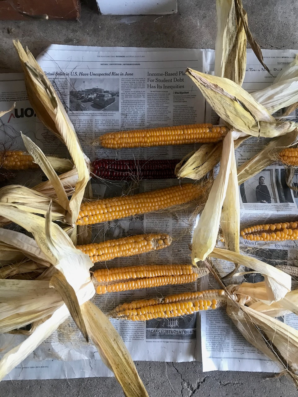 Wapsie Valley Corn & Spelt Pancake mix