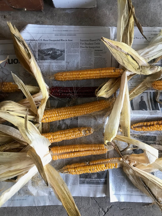 Wapsie Valley Corn & Spelt Pancake mix